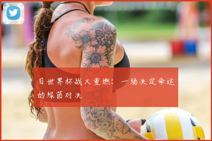 日世界杯战火重燃：一场决定命运的绿茵对决