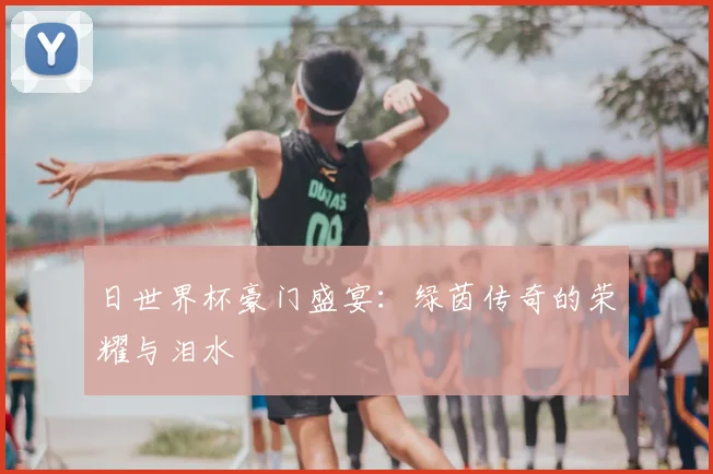日世界杯豪门盛宴：绿茵传奇的荣耀与泪水