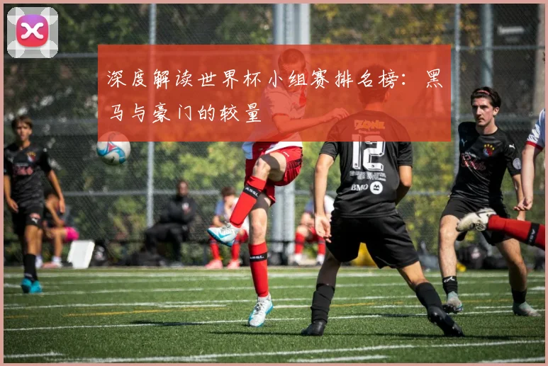 深度解读世界杯小组赛排名榜：黑马与豪门的较量