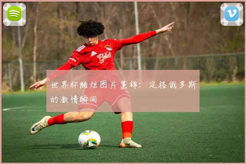 世界杯酷炫图片集锦：定格俄罗斯的激情瞬间