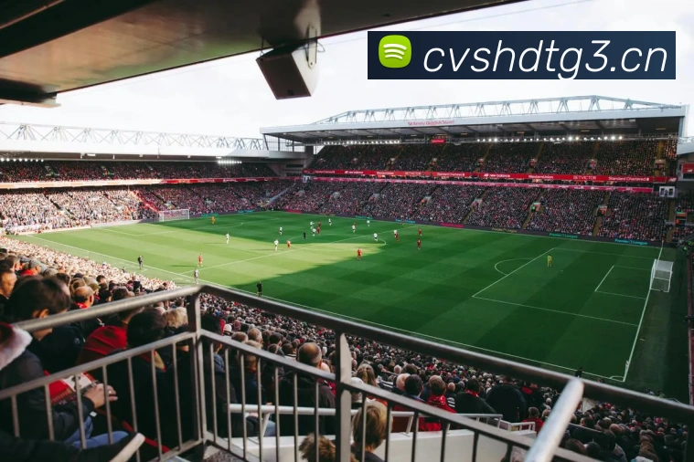 星空app网站APP 封面图